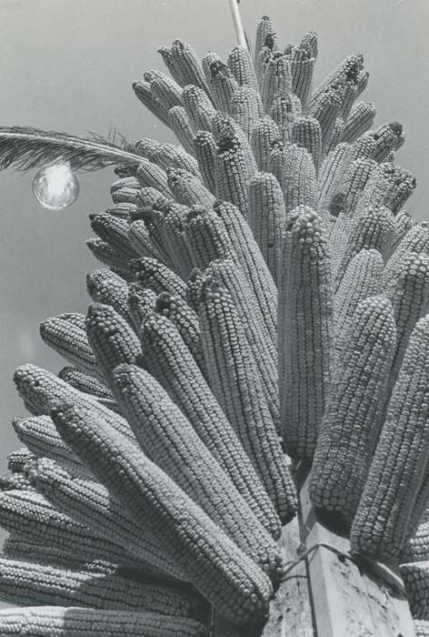 exhibit, Black Hawk, corn, Photos, ia, cattle congress, historic, history, Grout Museum of History and Science, United States, Iowa, Waterloo, IA, sculpture, national cattle congress