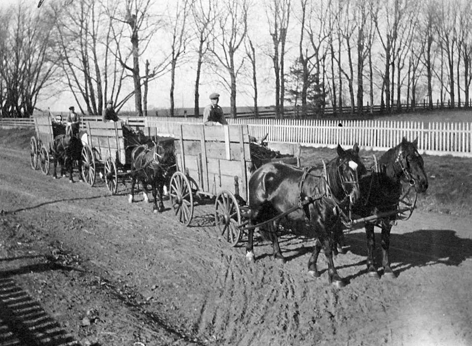 history of Iowa, fence, Scherrman, Pearl, horses, Iowa History, Farming Equipment, wagon, Animals, Iowa, Early, IA