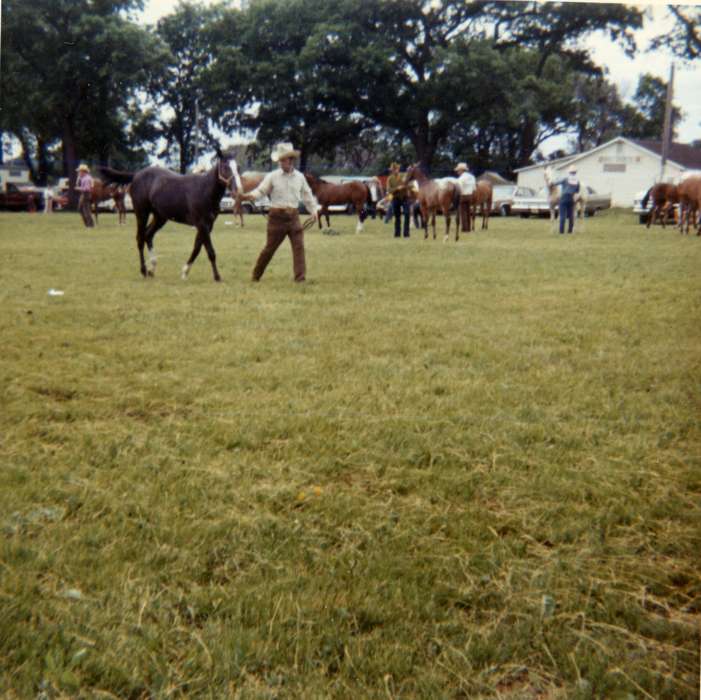 Olsson, Ann and Jons, Animals, fairgrounds, Outdoor Recreation, Iowa History, horse show, Iowa, horses, history of Iowa, Webster City, IA