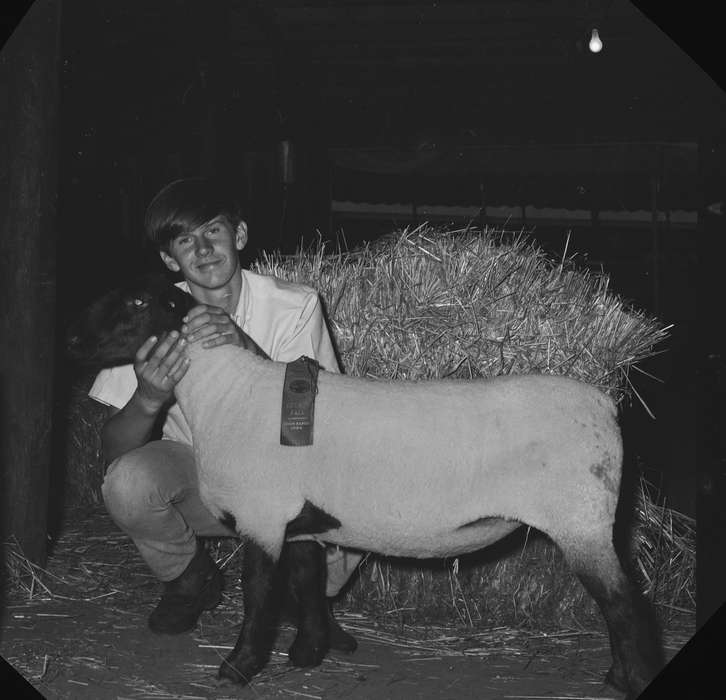 Portraits - Individual, Iowa, IA, United States, Photos, historic, Coon Rapids, Coon Rapids Enterprise, Fairs and Festivals, Farms, Barns, sheep, history, Animals, ia, county fair, Children