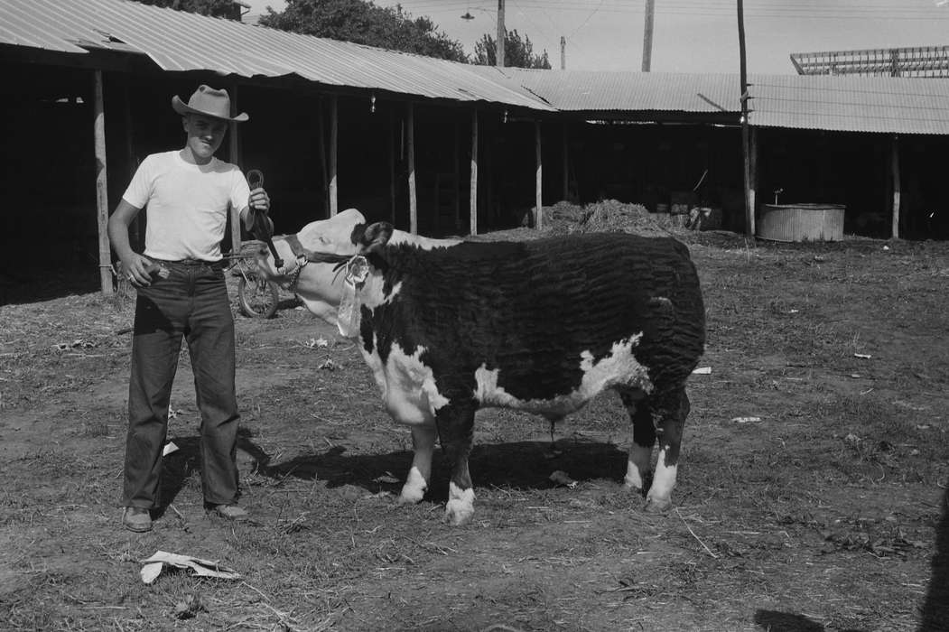 Portraits - Individual, Iowa, IA, United States, stables, Photos, historic, Coon Rapids, Fairs and Festivals, Farms, history, Animals, ia, Coon Rapids Enterprise, cow, cowboy