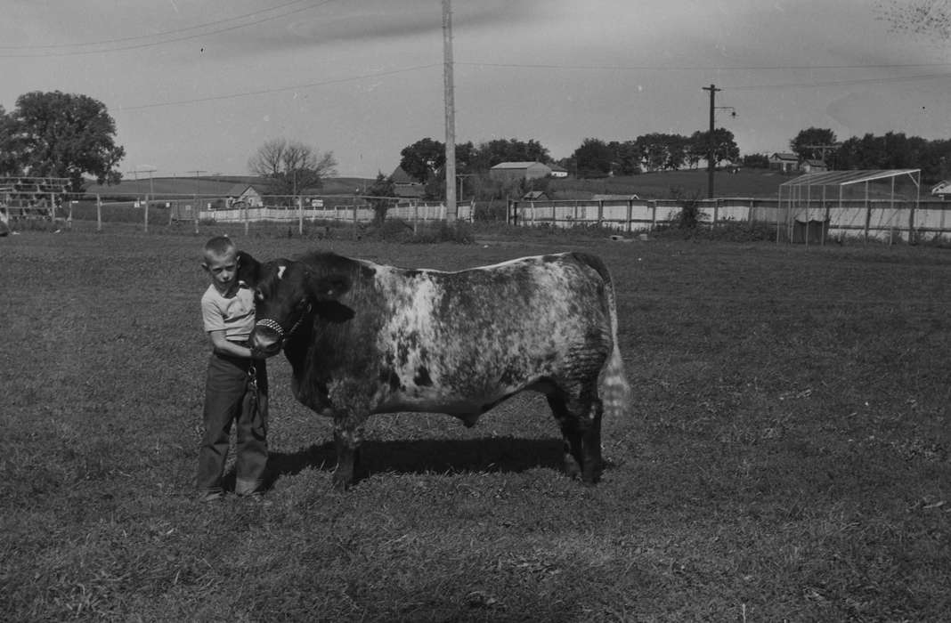 Portraits - Individual, Iowa, IA, United States, Photos, historic, Coon Rapids, Fairs and Festivals, history, Animals, ia, Coon Rapids Enterprise, cow, Children, young boy