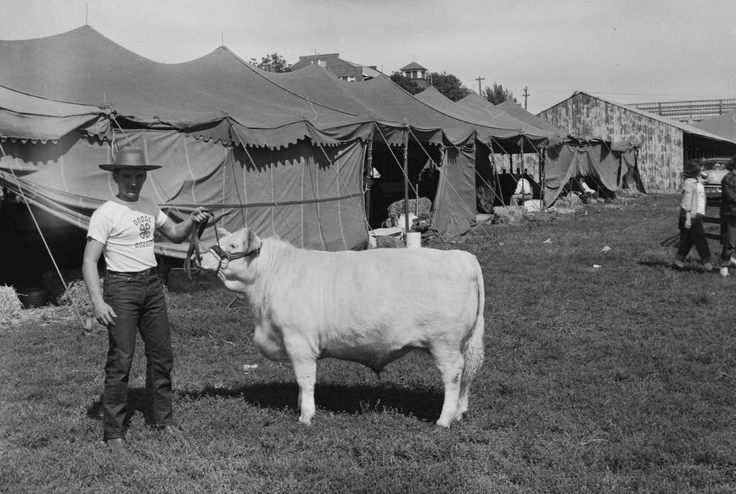 Portraits - Individual, Iowa, IA, United States, Photos, historic, Coon Rapids, Fairs and Festivals, Farms, history, Animals, tents, Coon Rapids Enterprise, cow, ia, cowboy