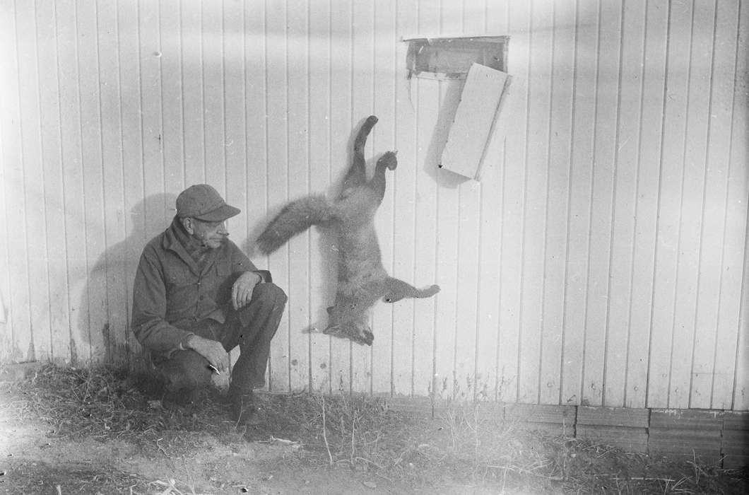 fox, United States, history, ia, Photos, Outdoor Recreation, Coon Rapids Enterprise, hunting, Animals, historic, Iowa, IA, Coon Rapids