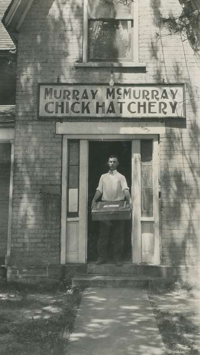 McMurray, Doug, Businesses and Factories, Animals, hatchery, Portraits - Individual, Iowa History, Iowa, history of Iowa, Webster City, IA, Labor and Occupations