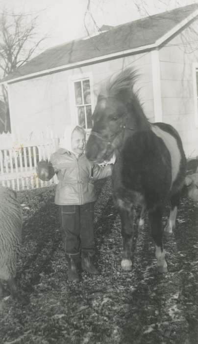 horse, Farms, Children, Bull, Ardith, Iowa History, Animals, Iowa, history of Iowa, Dysart, IA