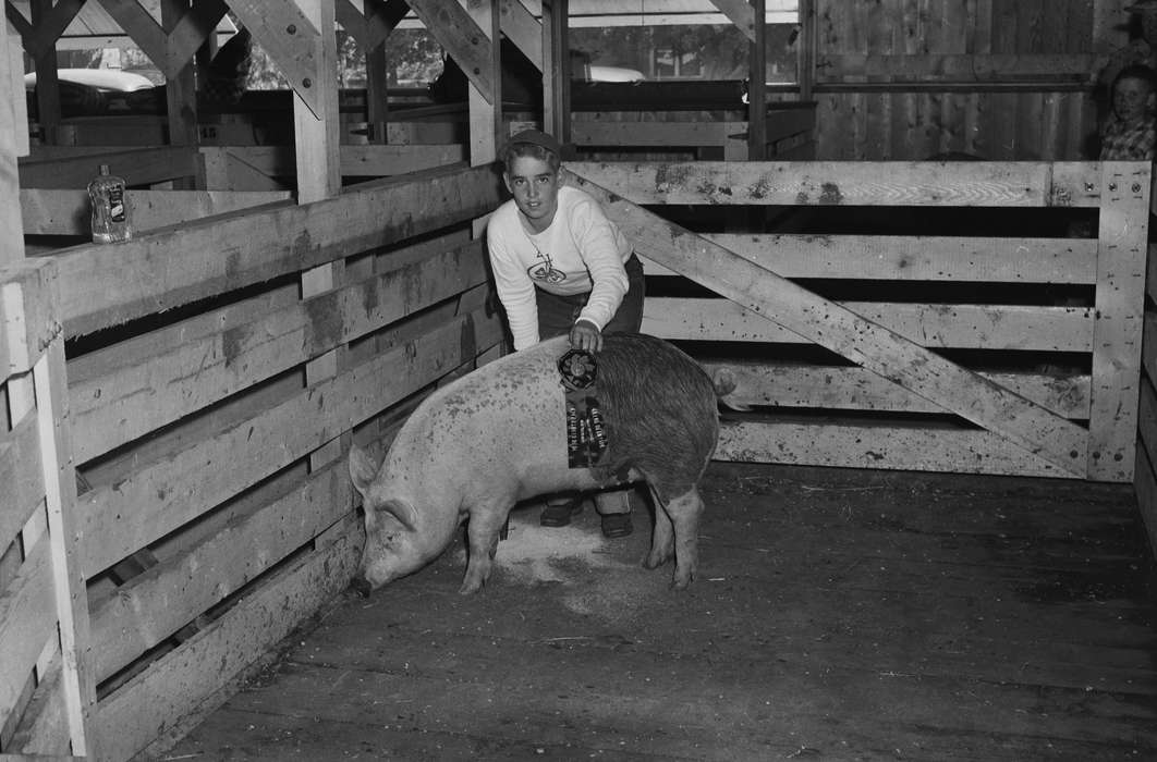 Portraits - Individual, Iowa, IA, United States, prize pig, Photos, historic, Coon Rapids, Fairs and Festivals, Farms, boy, history, Animals, ia, Coon Rapids Enterprise, pigpen