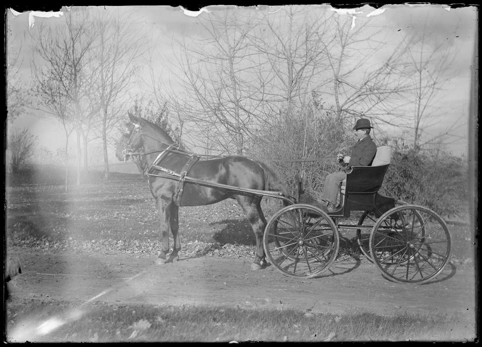 horse, man, dirt, Iowa History, wagon, Archives & Special Collections, University of Connecticut Library, Iowa, road, Storrs, CT, history of Iowa