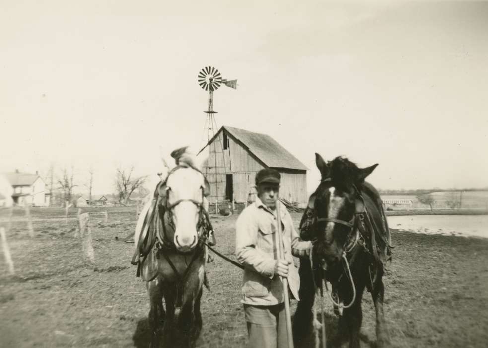 horses, Barns, horse, Iowa, Iowa History, Stater, Connie, Portraits - Individual, history of Iowa, Farms, Animals, Centerville, IA, windmill