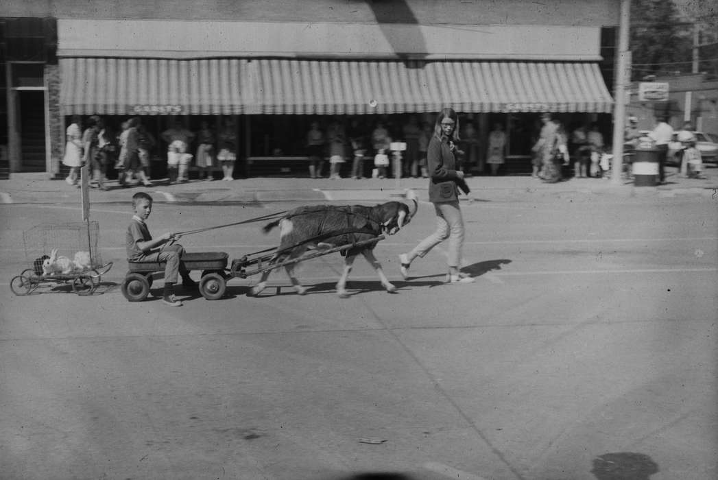 ia, Iowa, wagon, IA, rabbits, Coon Rapids, Coon Rapids Enterprise, Main Streets & Town Squares, United States, Businesses and Factories, boy, history, Entertainment, Animals, Photos, goat, historic, woman