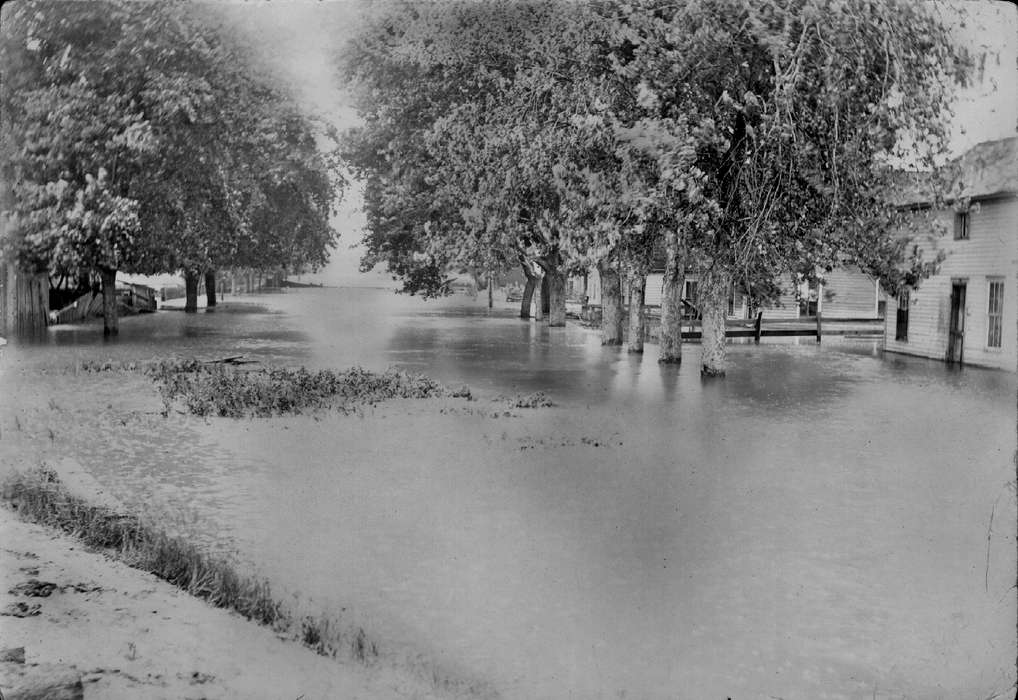 Iowa History, Floods, trees, Lemberger, LeAnn, Iowa, Ottumwa, IA, history of Iowa