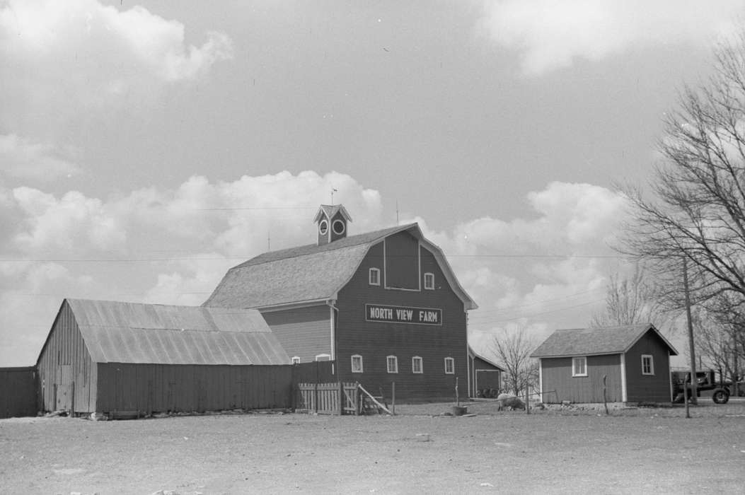 pig, Farms, Farming Equipment, tractor, Iowa, clouds, Barns, north view, Library of Congress, history of Iowa, fence, Iowa History