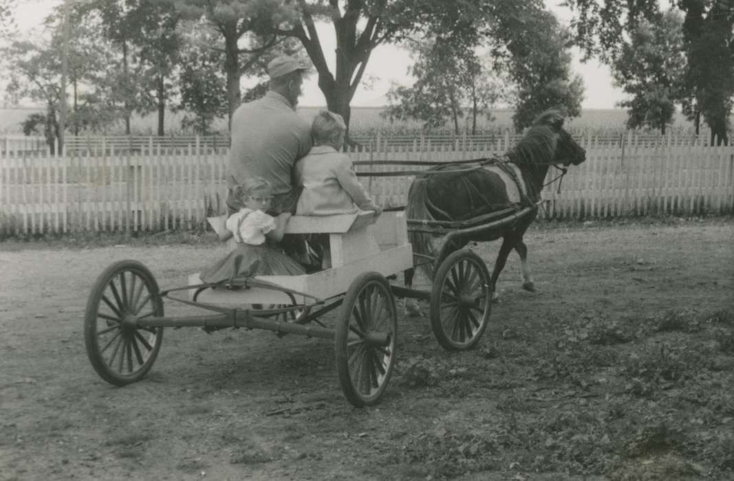 history of Iowa, Iowa History, Dysart, IA, Bull, Ardith, Animals, cart, wagon, Iowa, Children, fence, Farming Equipment, Outdoor Recreation, pony