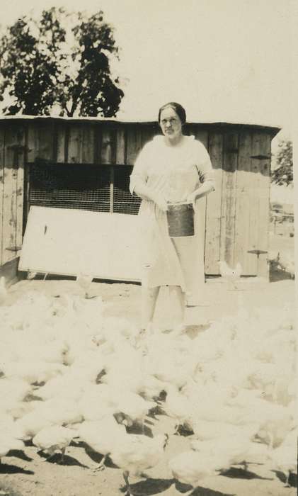 feed, chicken, Animals, chickens, Portraits - Individual, Iowa, Iowa History, Spilman, Jessie Cudworth, history of Iowa, Farms, chicken coop