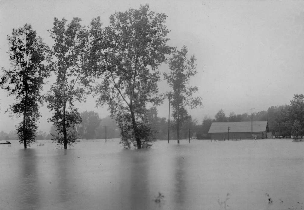 tree, Floods, Iowa History, Lemberger, LeAnn, Iowa, Ottumwa, IA, history of Iowa