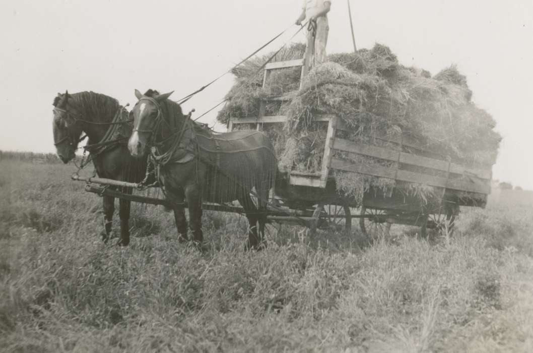Satre, Margaret, hay, Animals, Farming Equipment, Iowa History, Story City, IA, Iowa, history of Iowa, wagon, horse