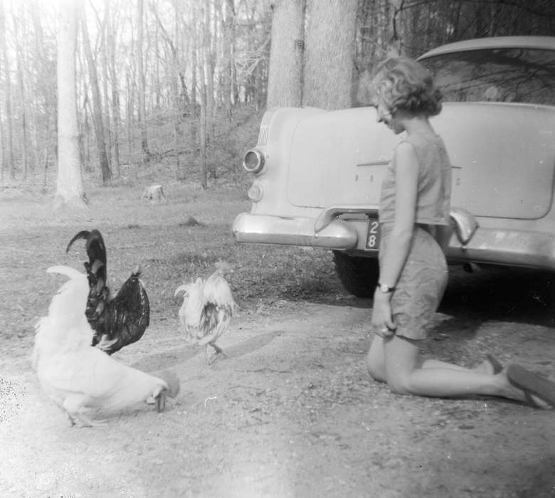 chicken, car, Animals, girl, chickens, Kringlen, Linda, Portraits - Individual, Iowa History, Iowa, Leisure, history of Iowa, rooster, Oelwein, IA
