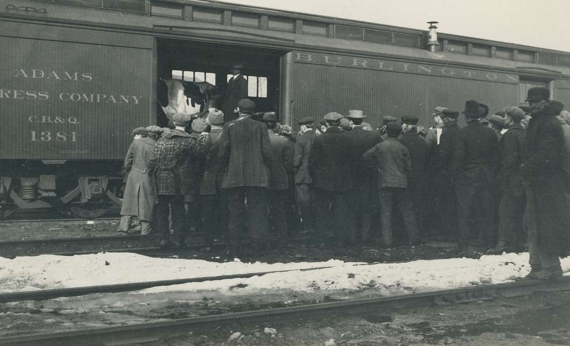 Entertainment, railroad track, Grout Museum of History and Science, Villisca, crowd, United States, Winter, Photos, Iowa, Animals, rail car, historic, snow, Motorized Vehicles, Montgomery, cow, history, train, IA, ia