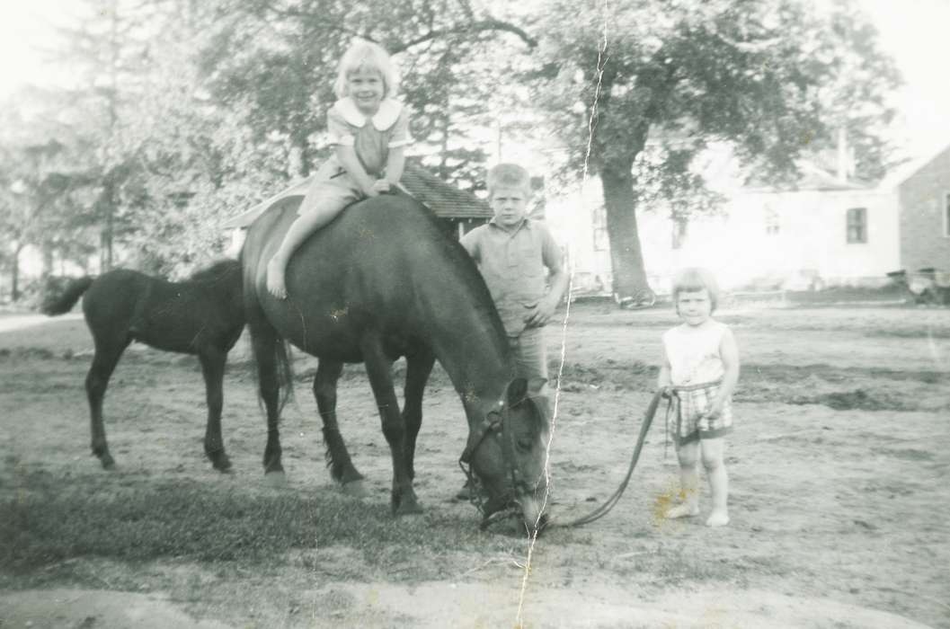 horse, Farms, Children, Iowa History, Brus, Mildred, Leisure, Portraits - Group, Animals, Iowa, foal, history of Iowa, grass, Alta Vista, IA