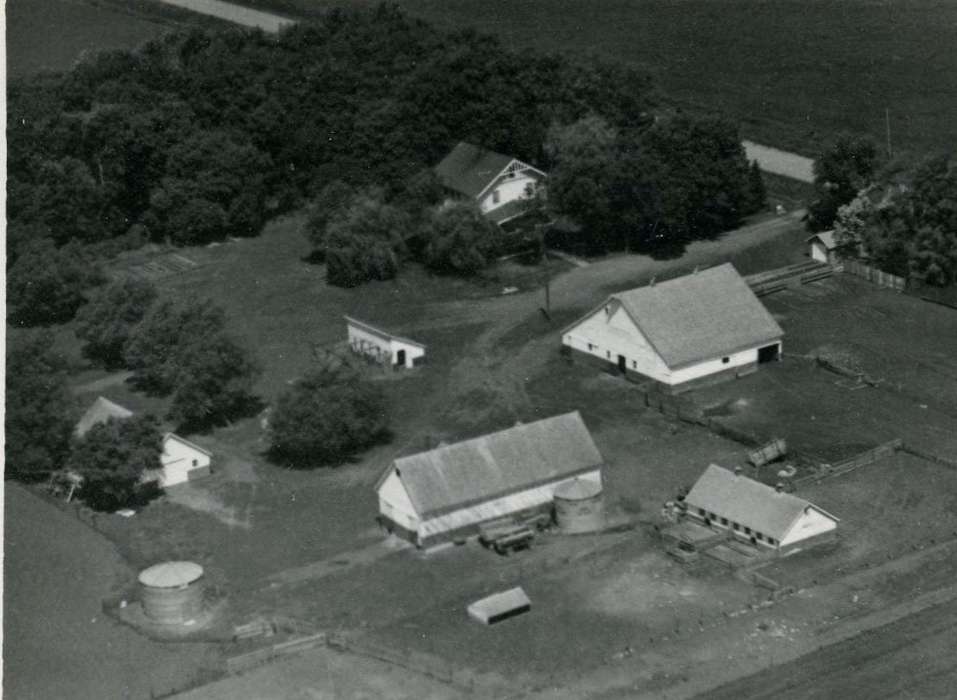 house, silo, Iowa, Iowa History, Le Mars, IA, Farms, Langel, Craig, Aerial Shots, history of Iowa