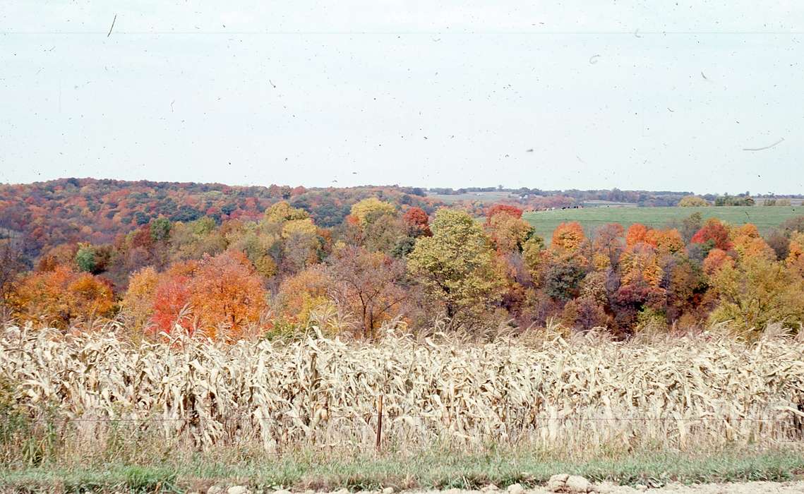 Iowa History, Iowa, Farms, history of Iowa, Landscapes, fall, Zischke, Ward, autumn, corn, IA