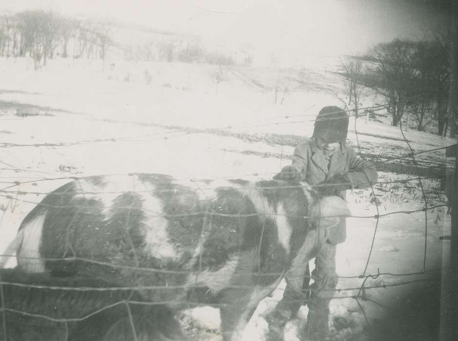 Farms, hog, Animals, Iowa History, history of Iowa, Dubuque, IA, Children, Iowa, pig, Fredericks, Robert, Winter, snow