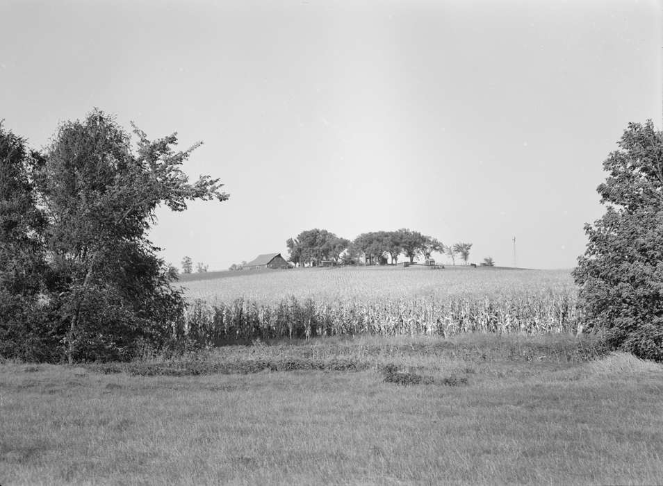 Farms, copse, Iowa, Landscapes, Barns, Library of Congress, field, history of Iowa, corn, crops, Iowa History