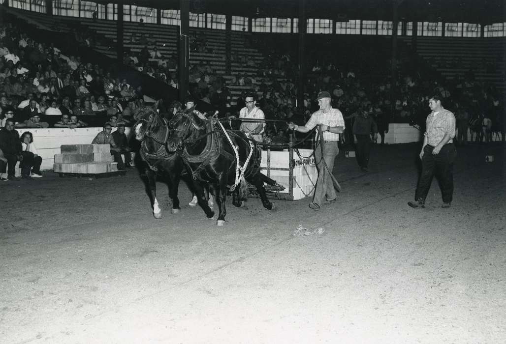 history, Photos, cattle congress, Black Hawk, IA, ia, Animals, Fairs and Festivals, historic, United States, Grout Museum of History and Science, Waterloo, Iowa, horses, national cattle congress