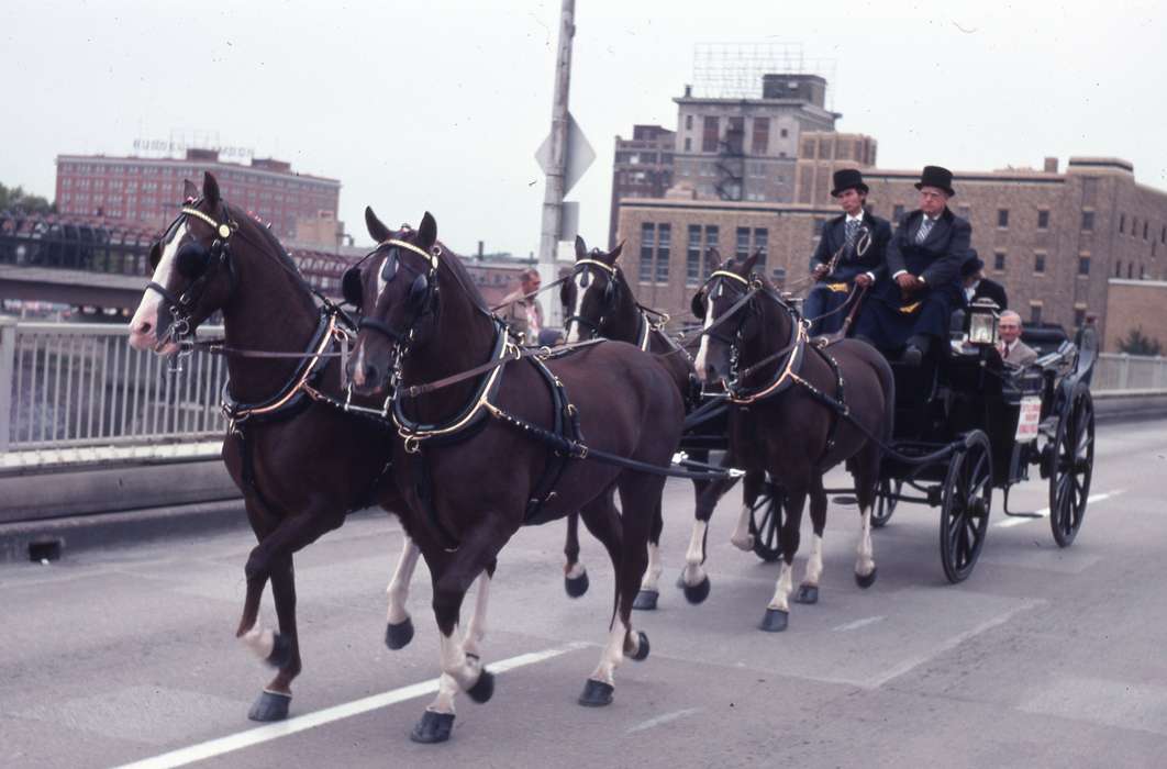 horse carriage, Main Streets & Town Squares, celebration, parade, horse, Iowa History, horse and buggy, Zischke, Ward, Waterloo, IA, Animals, Iowa, history of Iowa