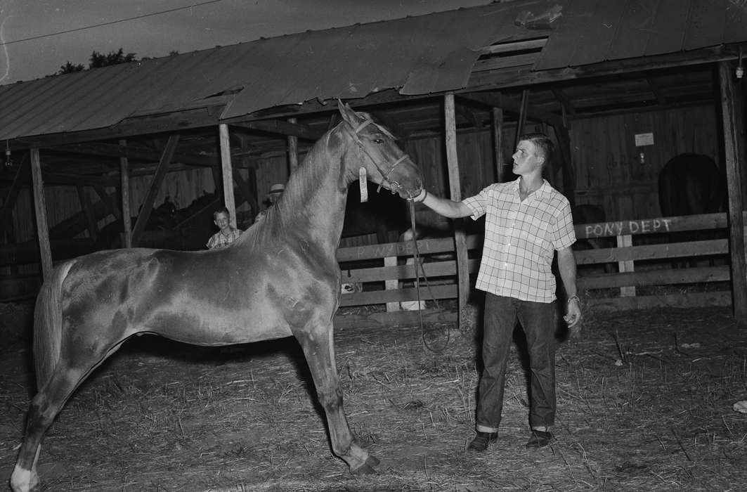 reins, Iowa, IA, United States, horse, stables, Photos, historic, Coon Rapids, Fairs and Festivals, boy, Barns, history, Animals, ia, Coon Rapids Enterprise, young man
