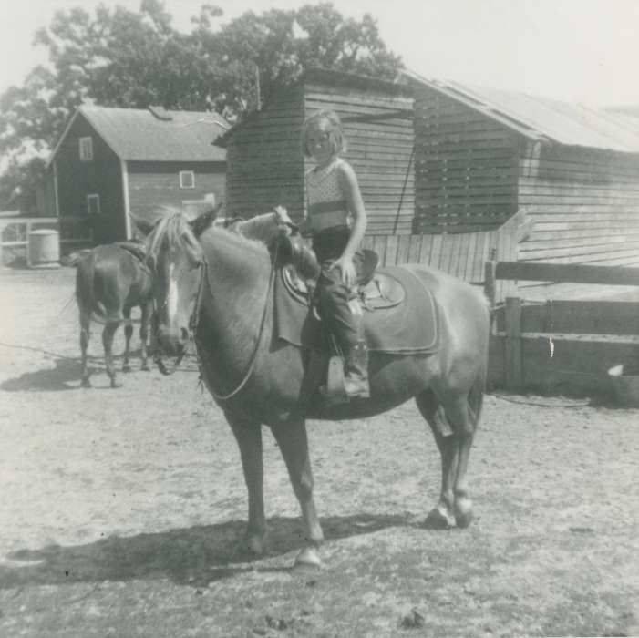 horse, history of Iowa, Children, Farms, Mountain, Carole, Animals, Iowa, Iowa History, Traer, IA, saddle
