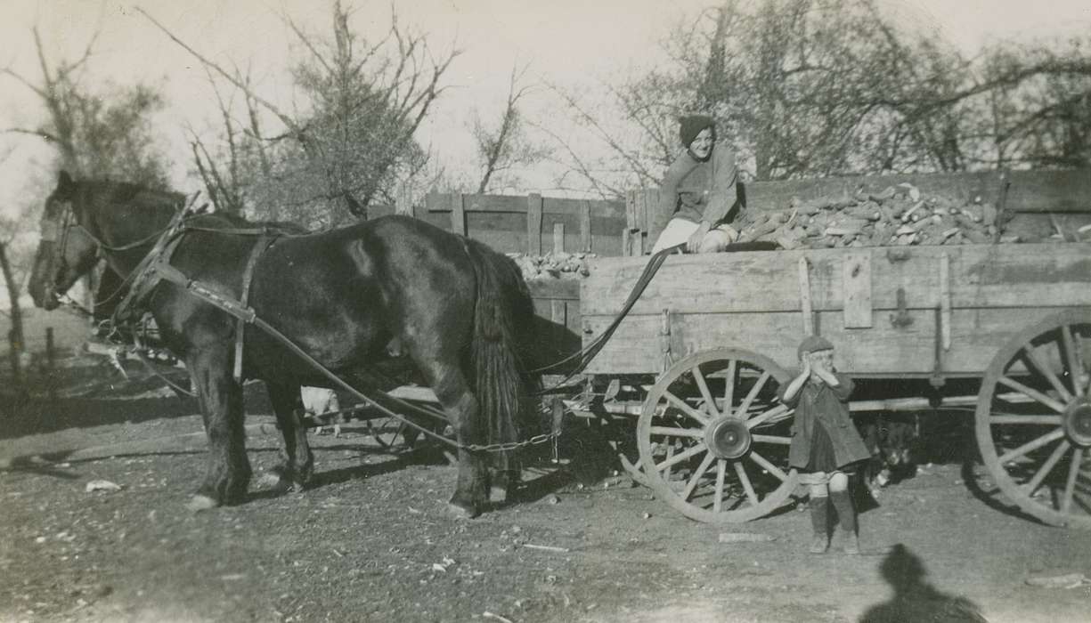 Iowa History, Fort Atkinson, IA, farm equipment, Iowa, Vsetecka, Delores, wagon, farm, Farms, history of Iowa, Animals, horses
