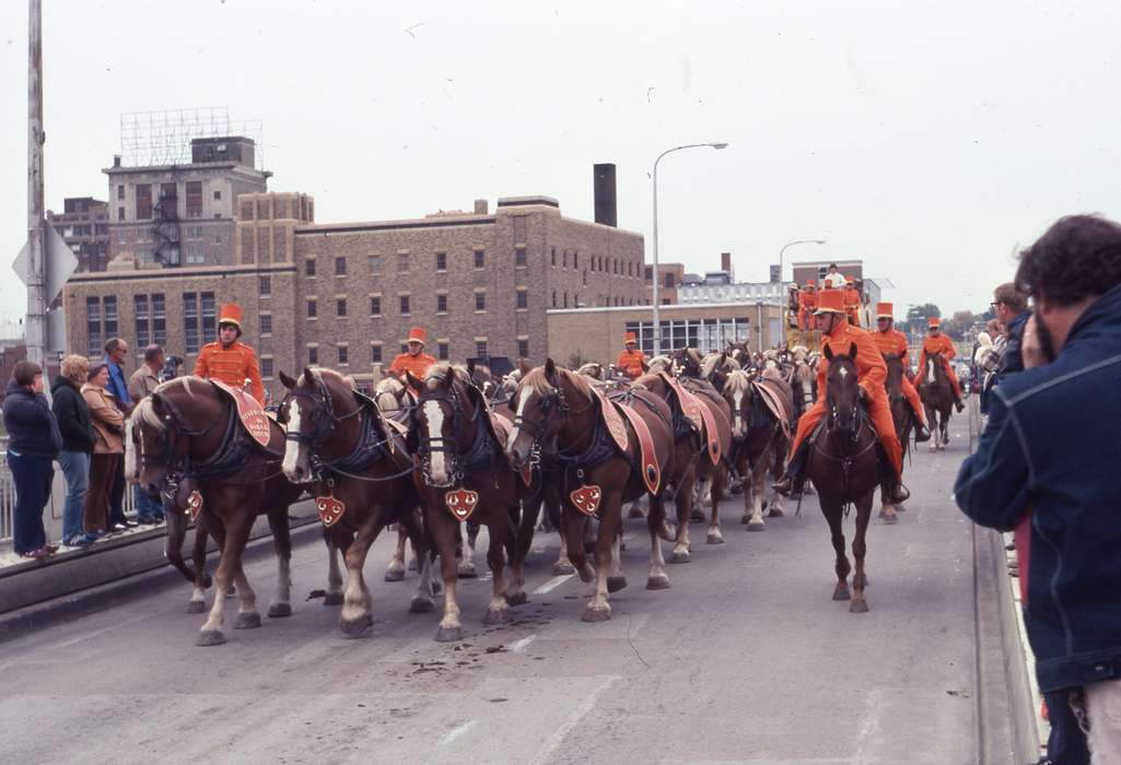 Animals, Waterloo, IA, horse riding, Iowa History, history of Iowa, Zischke, Ward, Main Streets & Town Squares, horse, parade, Iowa