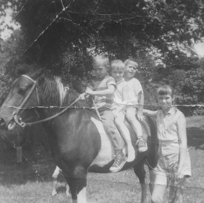 Children, Portraits - Group, horse, Evansdale, IA, Iowa History, Iowa, Patterson, Donna and Julie, history of Iowa, Animals