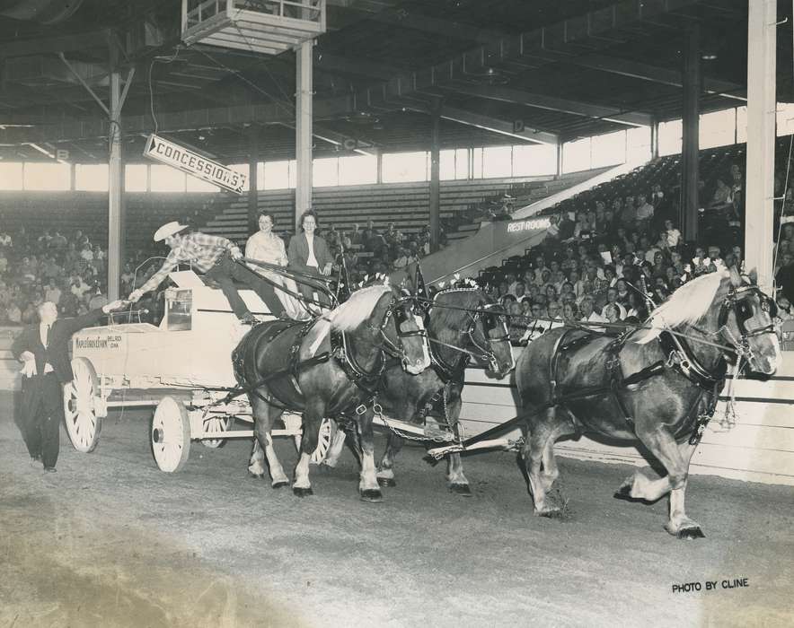 history, horse drawn wagon, Photos, cattle congress, Black Hawk, IA, ia, Animals, Fairs and Festivals, historic, United States, Grout Museum of History and Science, Waterloo, Iowa, horses, national cattle congress