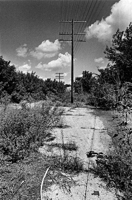 telephone pole, Landscapes, Iowa History, Lemberger, LeAnn, tree, Iowa, street, Ottumwa, IA, history of Iowa
