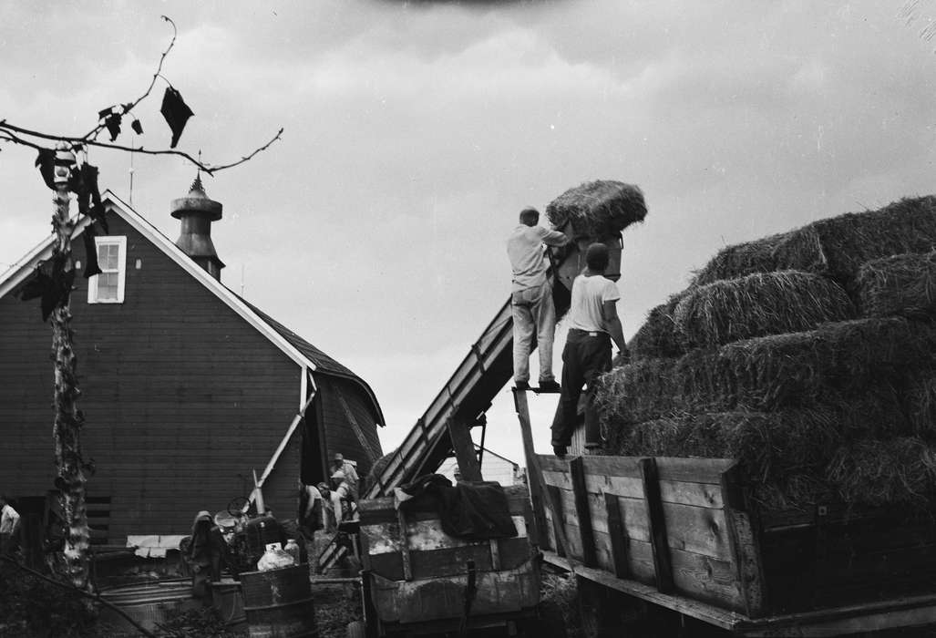 Farms, Farming Equipment, United States, Coon Rapids Enterprise, ia, IA, Coon Rapids, hay bale, Labor and Occupations, historic, Iowa, history, Photos