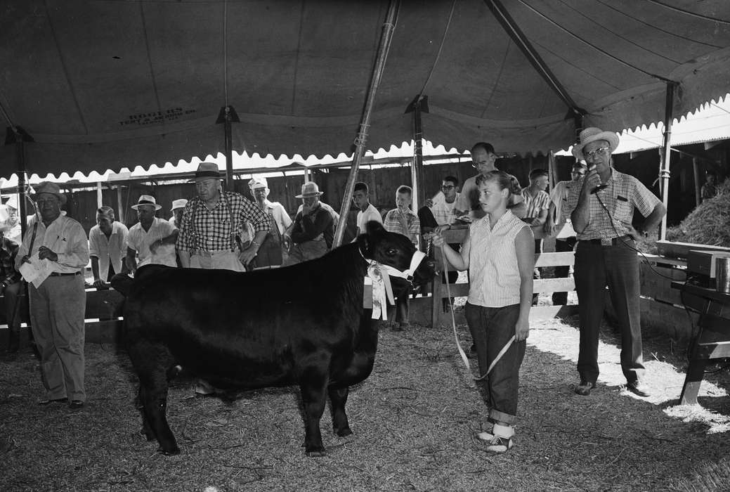 IA, historic, Coon Rapids, Fairs and Festivals, Animals, boys, tent, prize cow, Iowa, United States, Photos, hats, Farms, history, girl, ia, Coon Rapids Enterprise, Children
