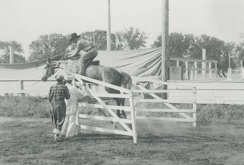 horse, Outdoor Recreation, history of Iowa, gate, Waverly Public Library, Iowa, Waverly, IA, Iowa History, Animals, hurdle