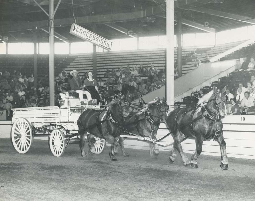 history, horse drawn wagon, Photos, cattle congress, Black Hawk, IA, ia, Animals, Fairs and Festivals, historic, United States, Grout Museum of History and Science, Waterloo, Iowa, horses, national cattle congress