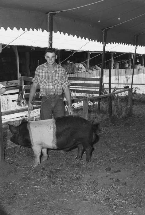 Portraits - Individual, United States, history, pig, ia, Photos, Coon Rapids Enterprise, historic, Iowa, IA, Coon Rapids