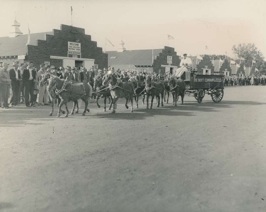 history, horse drawn wagon, Photos, cattle congress, Black Hawk, IA, ia, Animals, Fairs and Festivals, historic, United States, Grout Museum of History and Science, Waterloo, Iowa, horses, national cattle congress