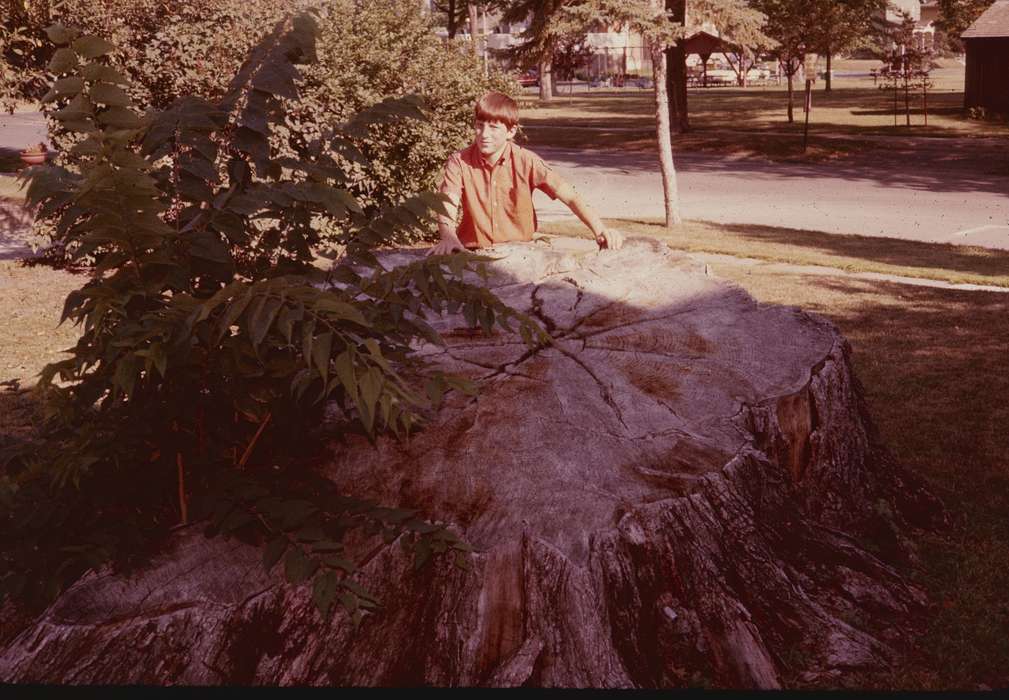 tree stump, park, tree, Iowa History, Iowa, history of Iowa, Outdoor Recreation, Zischke, Ward, Children, IA