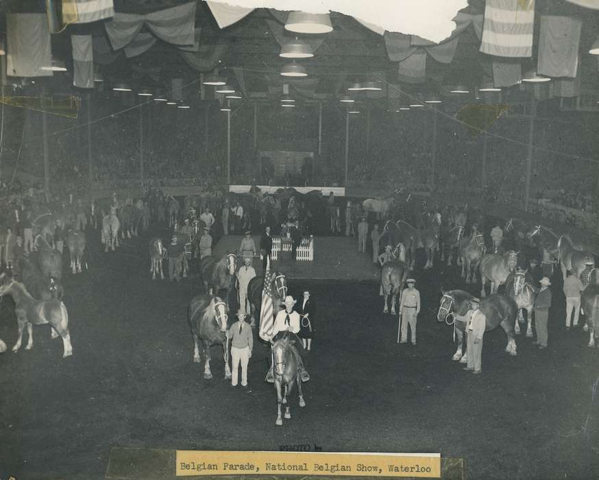 history, Photos, cattle congress, Black Hawk, IA, ia, Animals, Fairs and Festivals, historic, United States, Grout Museum of History and Science, Waterloo, Iowa, horses, national cattle congress