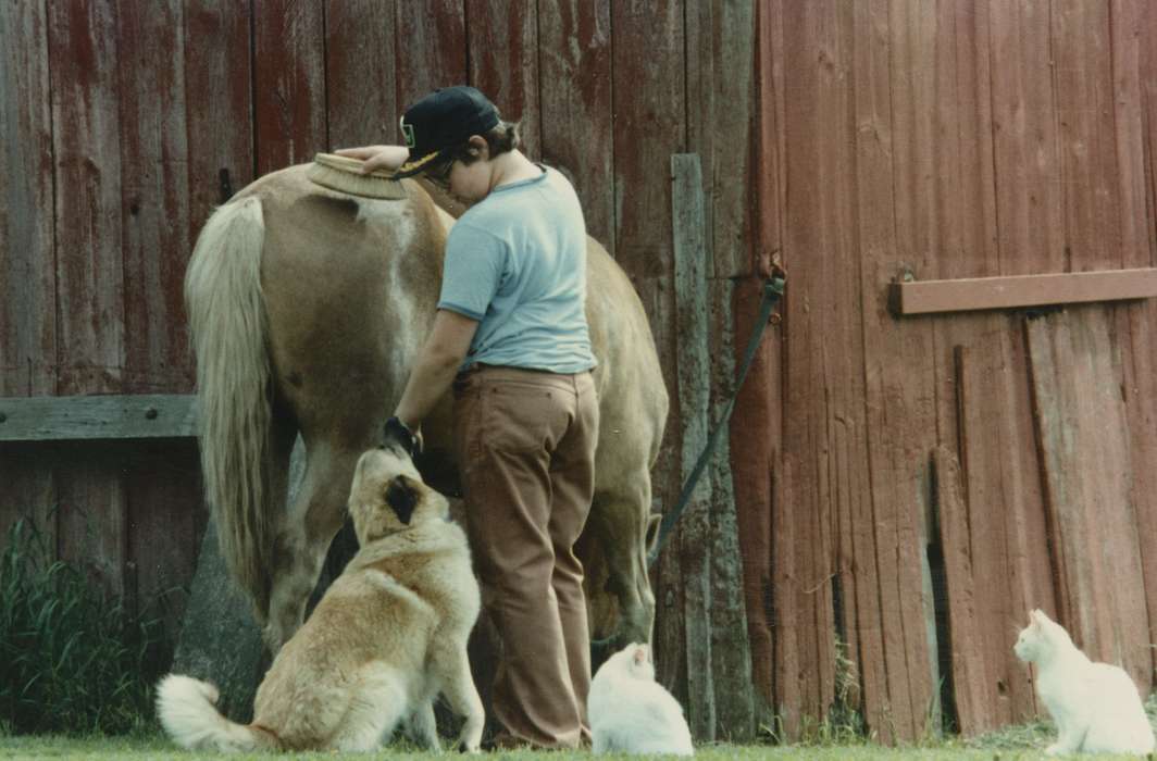 Children, dog, cat, Berger, Cathy, horse, Portraits - Individual, Farms, hat, Marcus, IA, Animals, Barns, history of Iowa, Iowa History, boy, Iowa