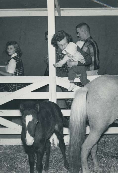 Children, national cattle congress, foal, Grout Museum of History and Science, Iowa, cattle congress, Animals, historic, baby, Black Hawk, Photos, history, Fairs and Festivals, Families, horse, Waterloo, United States, ia, IA