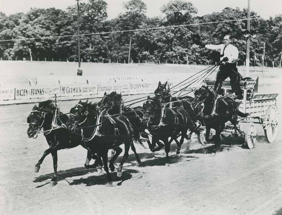 history, horse drawn wagon, Photos, cattle congress, Black Hawk, IA, ia, Animals, historic, United States, Grout Museum of History and Science, Waterloo, Iowa, horses, national cattle congress