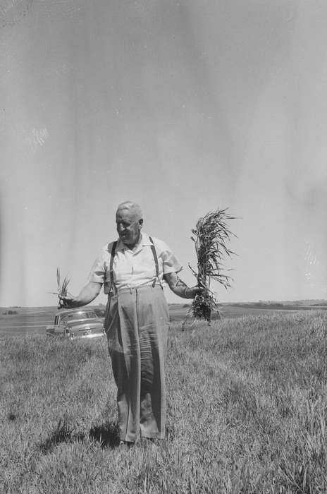 Iowa, plants, IA, United States, Photos, historic, Coon Rapids, Farms, history, field, ia, Coon Rapids Enterprise