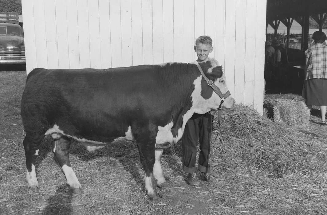 Portraits - Individual, United States, history, ia, Photos, bull, Coon Rapids Enterprise, Animals, historic, Iowa, IA, Coon Rapids