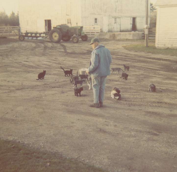 cat, Waverly, IA, Iowa, john deere, Farming Equipment, Conklin, Beverly, Animals, tractor, Iowa History, history of Iowa, Farms, Barns